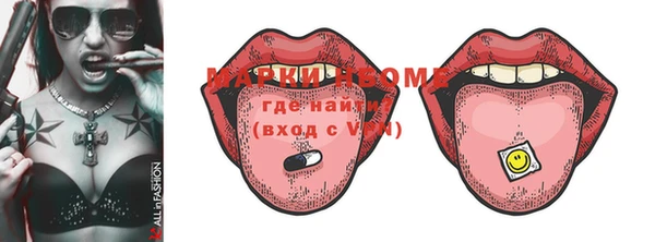 индика Вязьма