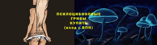индика Вязьма