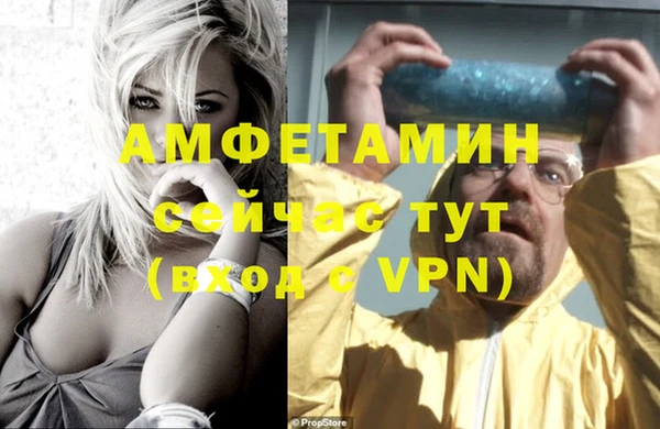 индика Вязьма