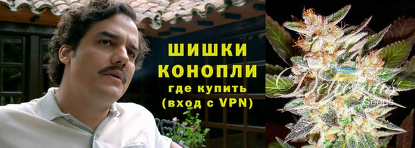 индика Вязьма