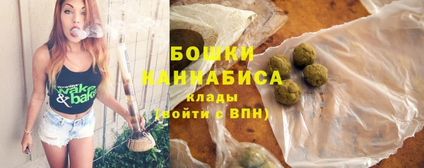 индика Вязьма