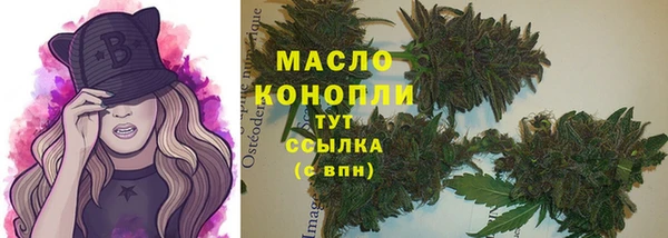 индика Вязьма