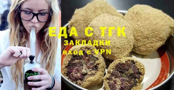 индика Вязьма