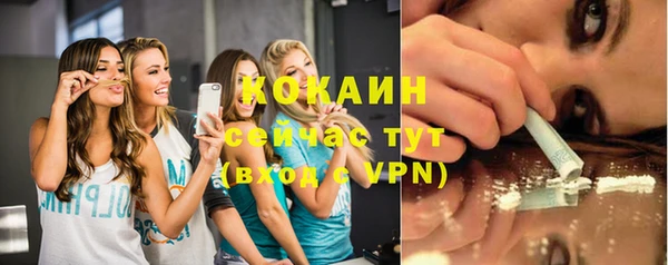 индика Вязьма