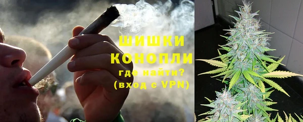 индика Вязьма